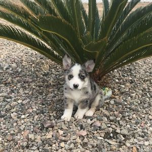 Meet your Posher, Robyn